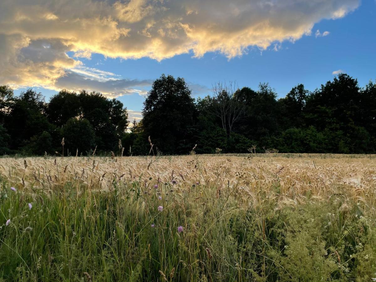 Sjoenaera Stuga Norrtälje Exteriör bild